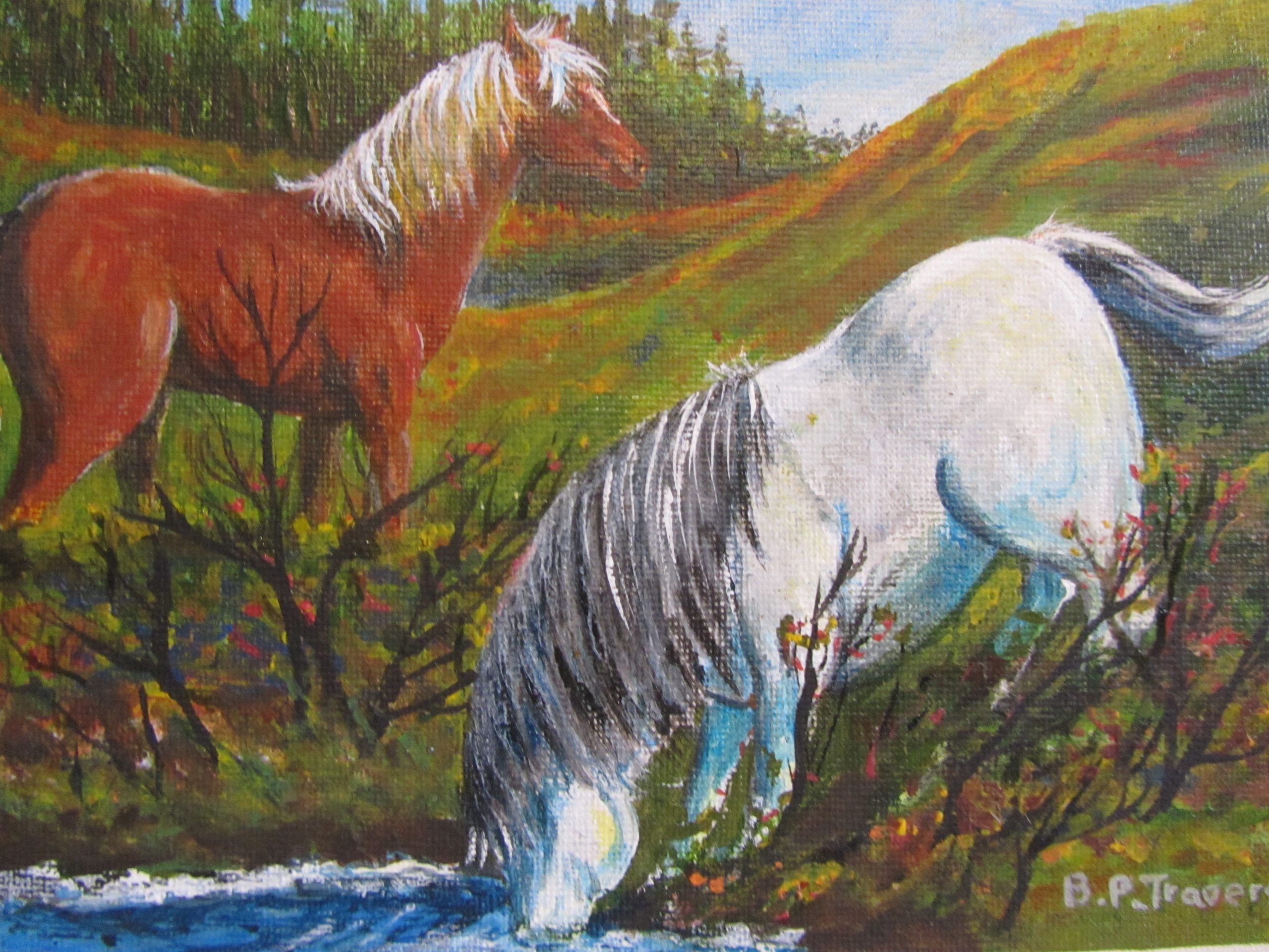 Horses