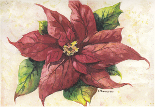 Poinsettia-2013